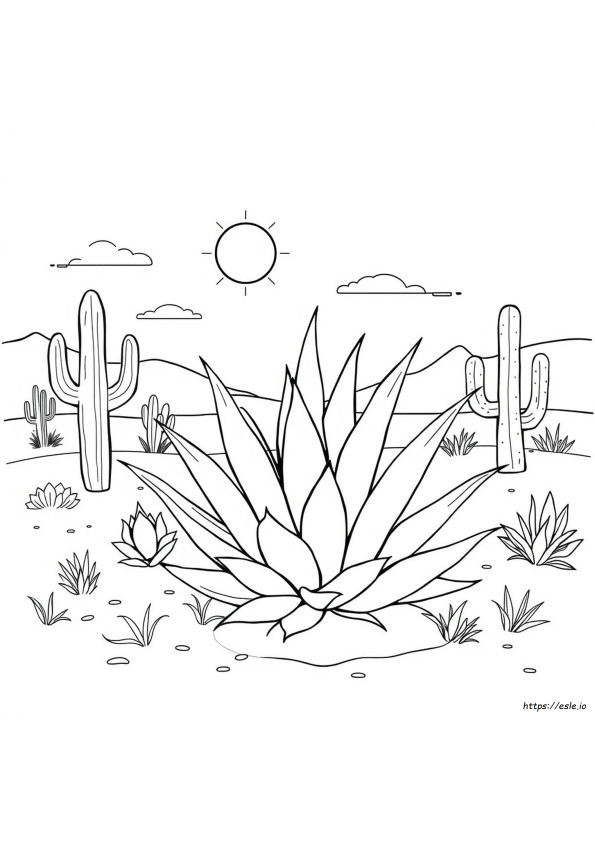 Apa Itu Warna Agave