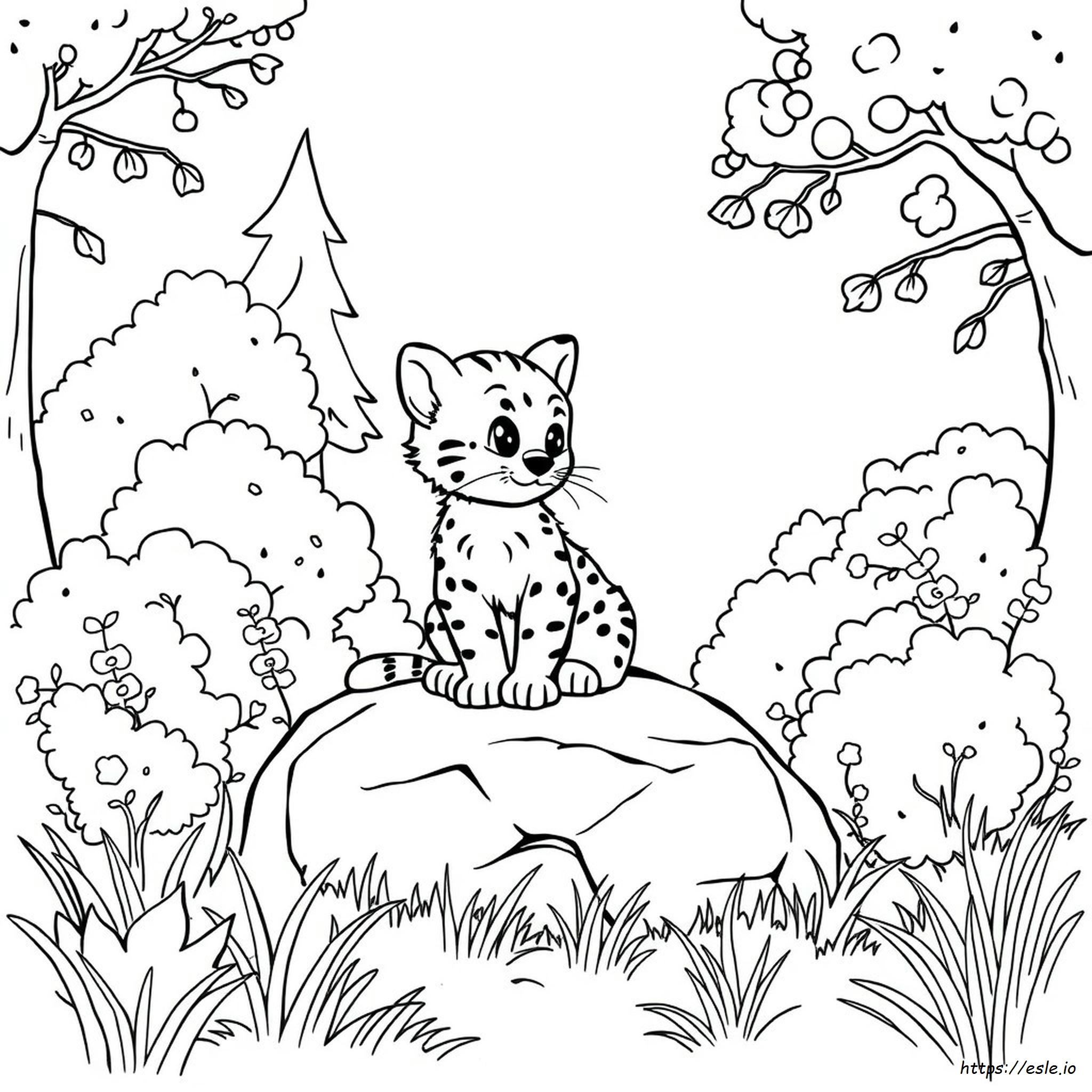 Bobcat Coloring Pages Free