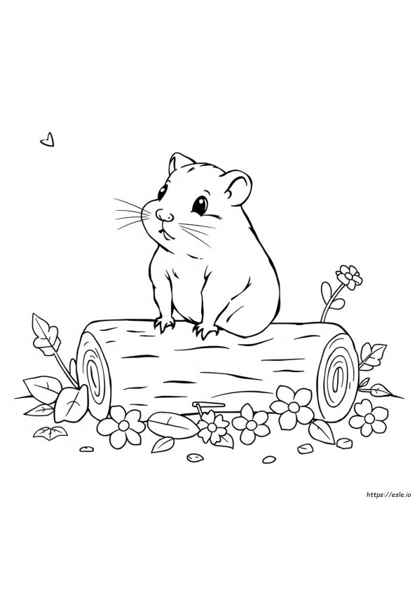 Coloriage Hamster