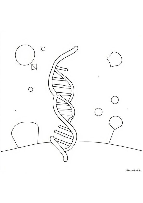 Dna Strand Coloring Page