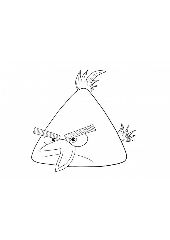 Chuck the Yellow Bird from Angry Birds cartoon free to print and color image