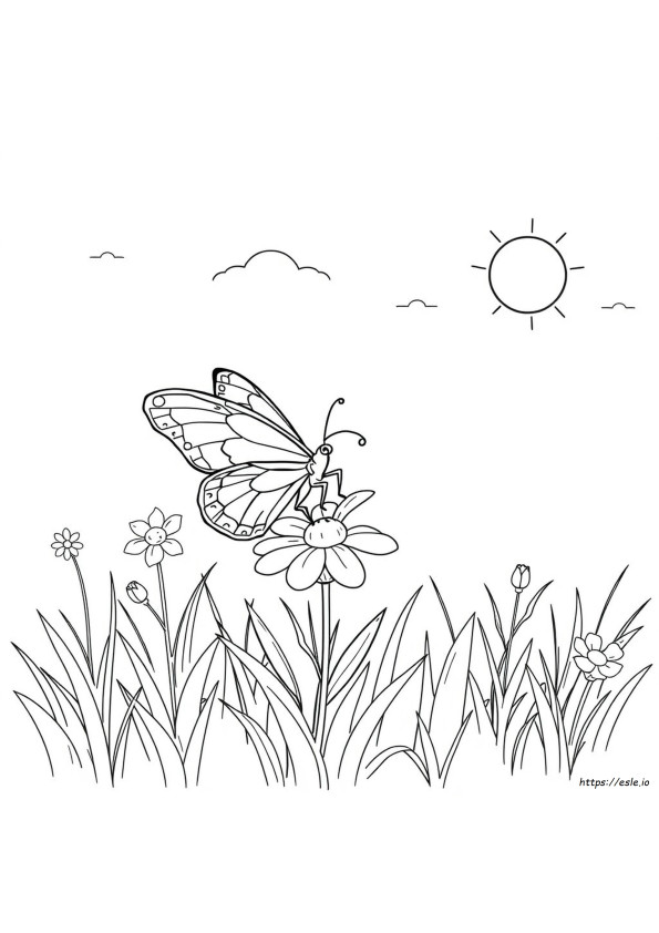 Dibujo De Mariposa Para Colorear