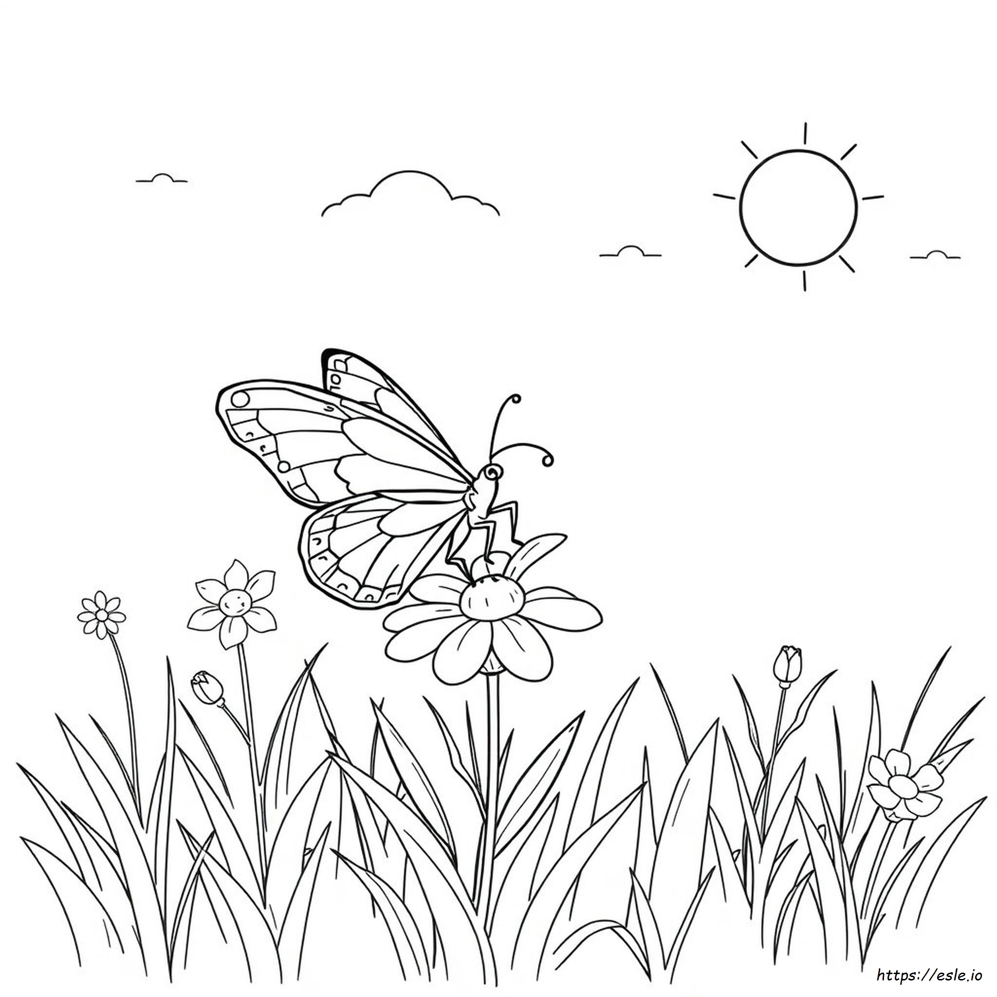 Schmetterling Ausmalbild