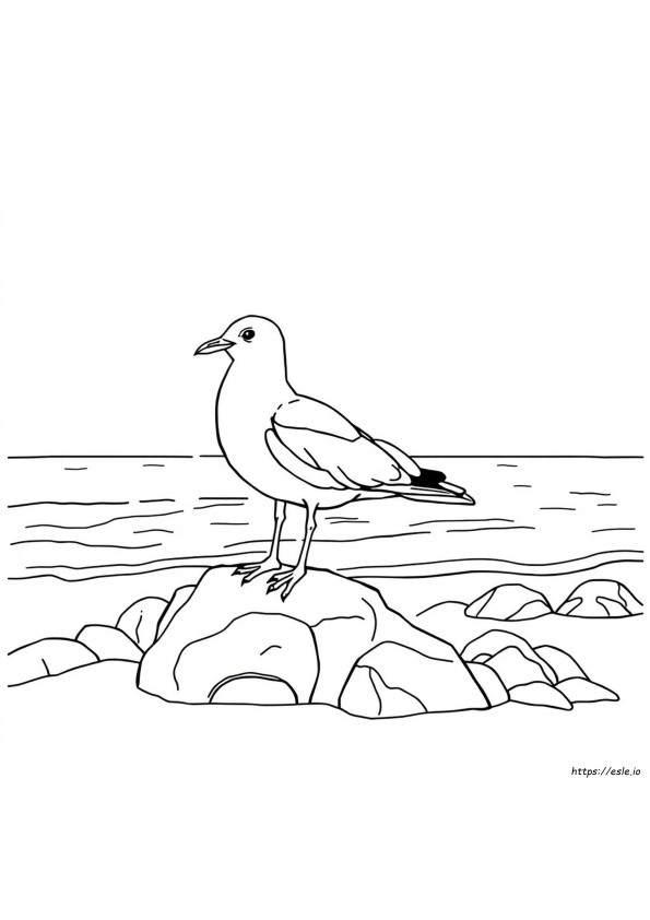Seagull Coloring Sheet