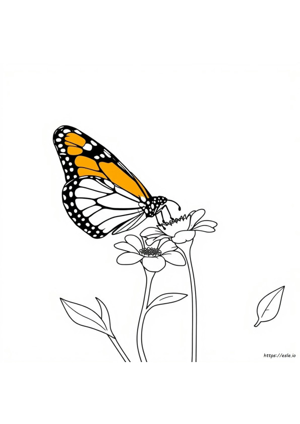 Dibujo Para Colorear De Mariposa Monarca