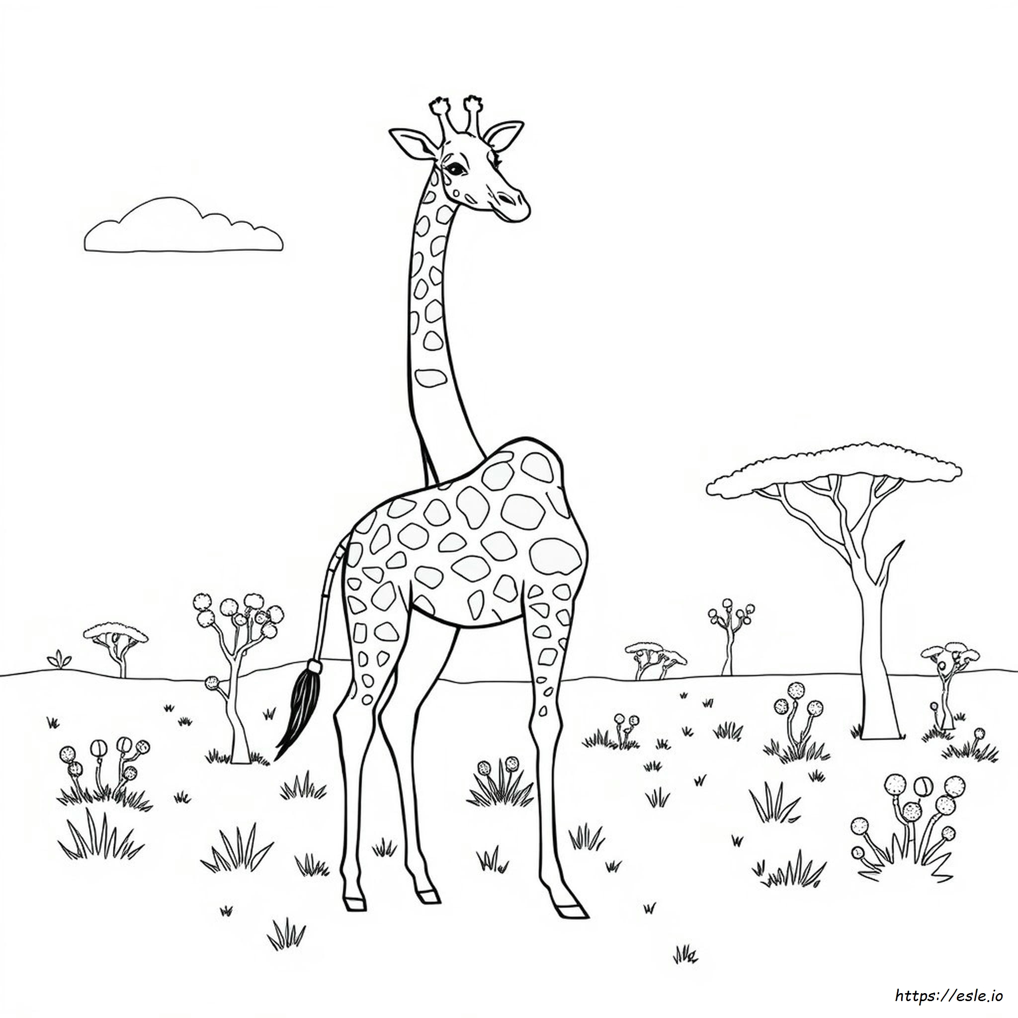 Coloring Pages For Adults Giraffe