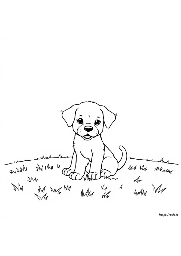 Puppy Coloring Book Pages