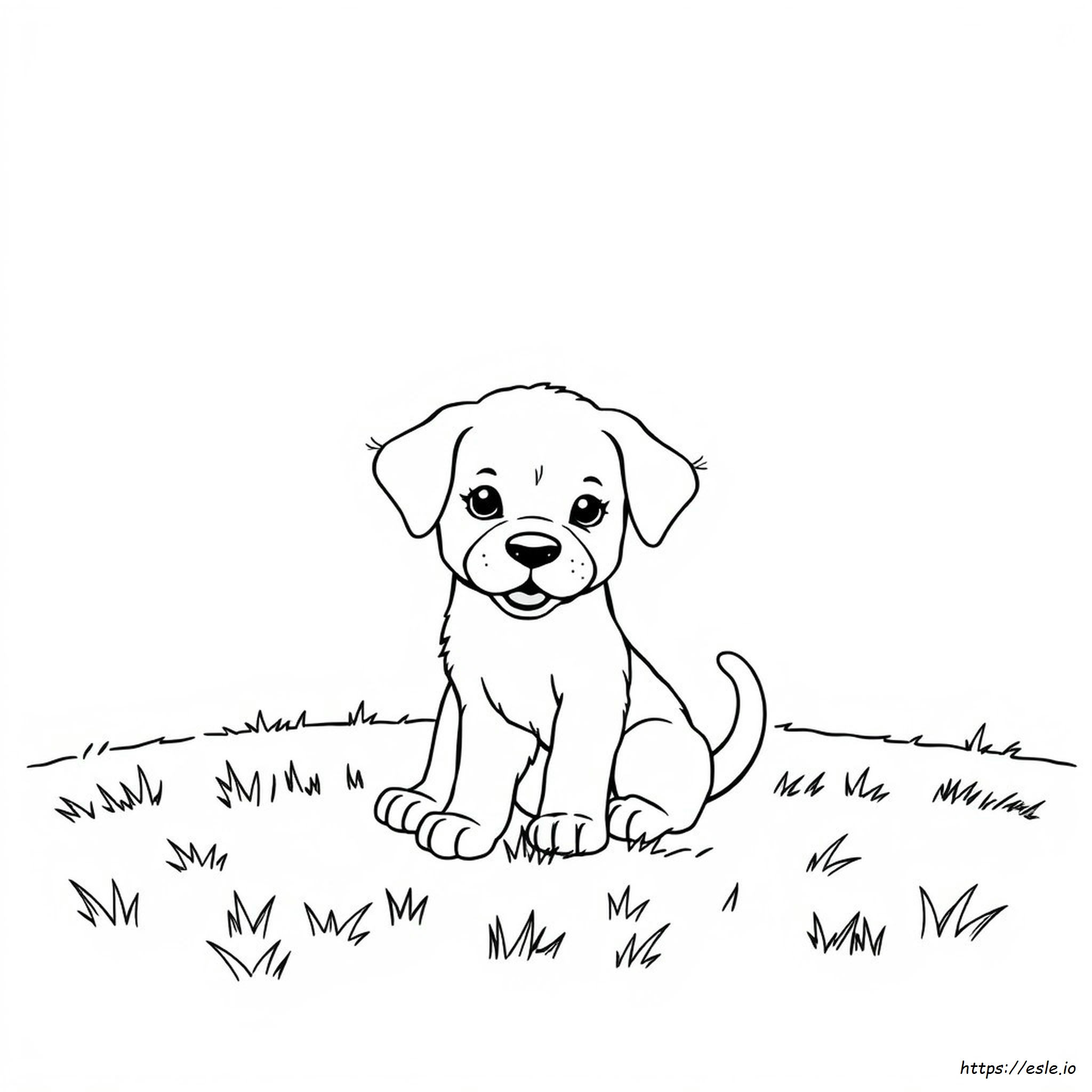 Páginas De Libro Para Colorear De Cachorros