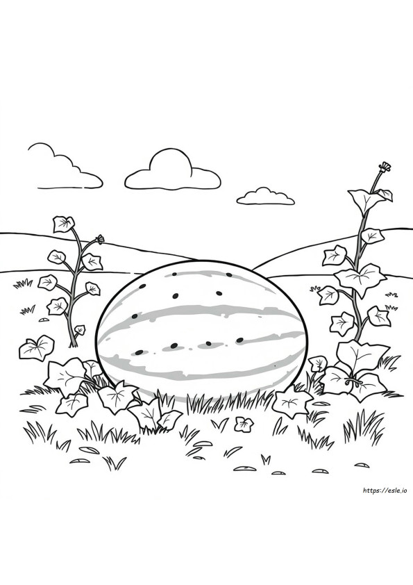Watermelon Printable Coloring Pages