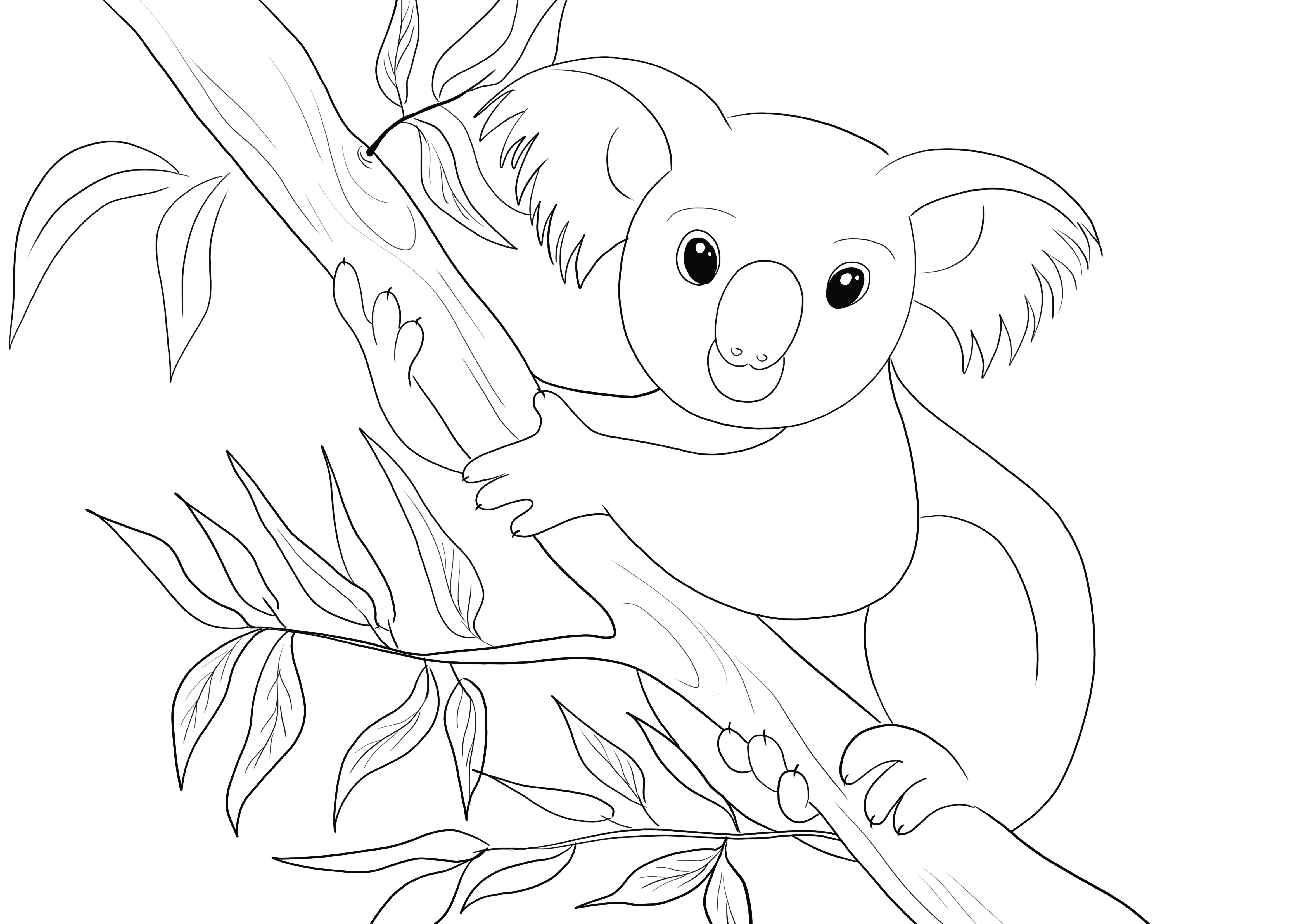 Söpö Koala väritysarkki ilmaiseksi tulostettavaksi ja ladattavaksi