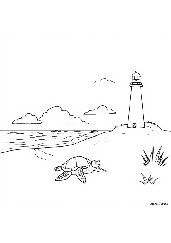 Florida Coloring Pictures