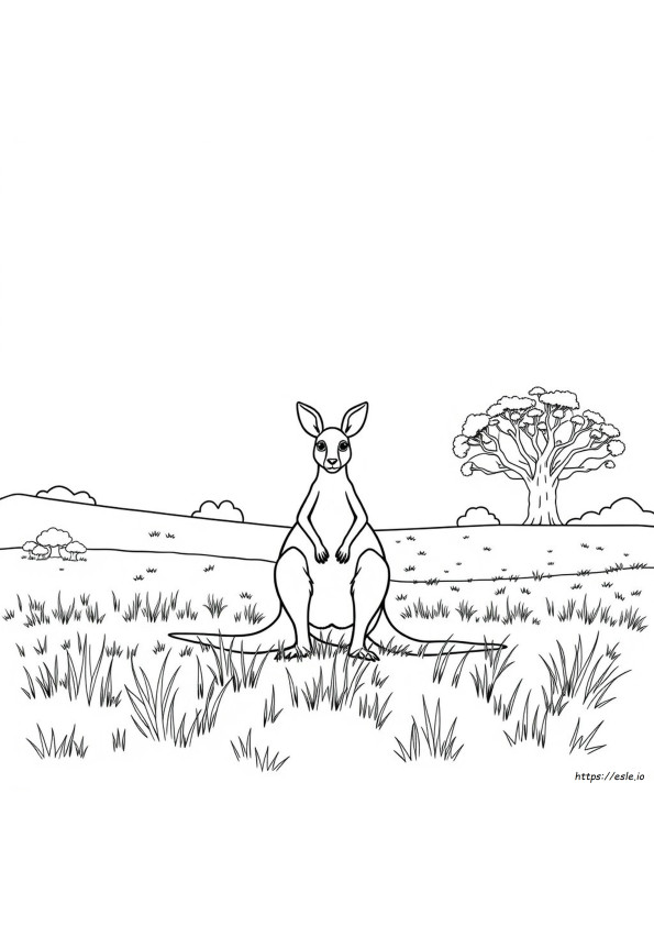 Desenhos Australianos Para Colorir Para Imprimir