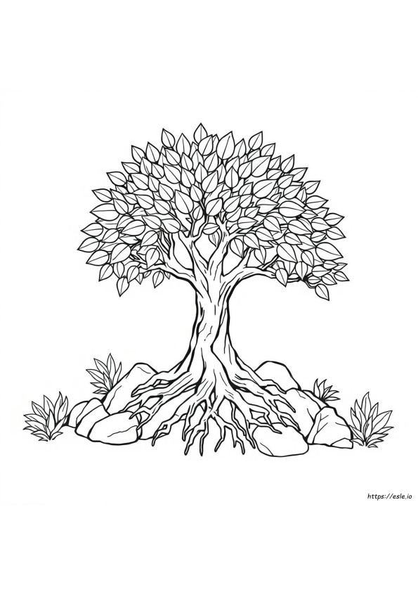 Árbol De La Vida Para Colorear