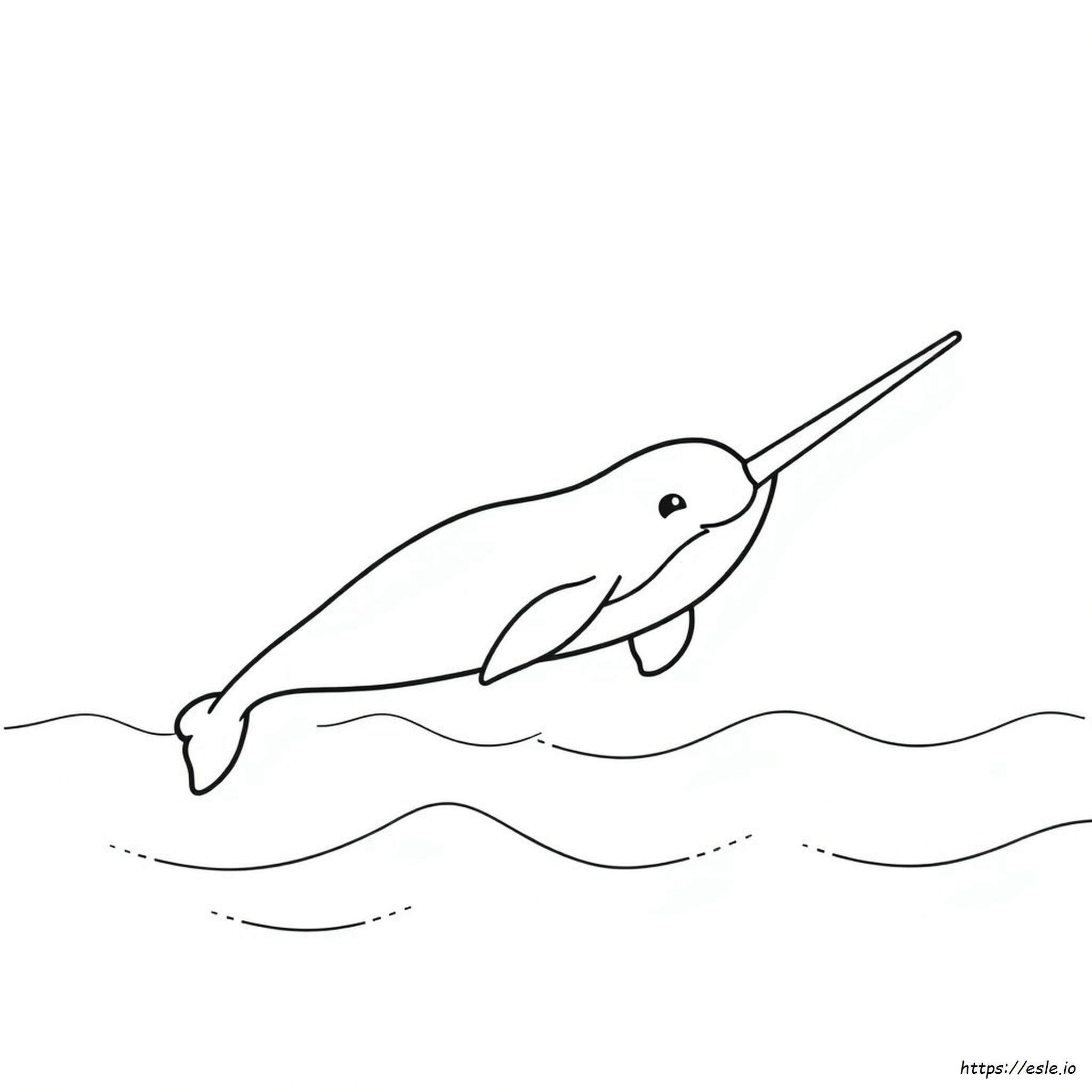 Narwhal Coloring Page Free