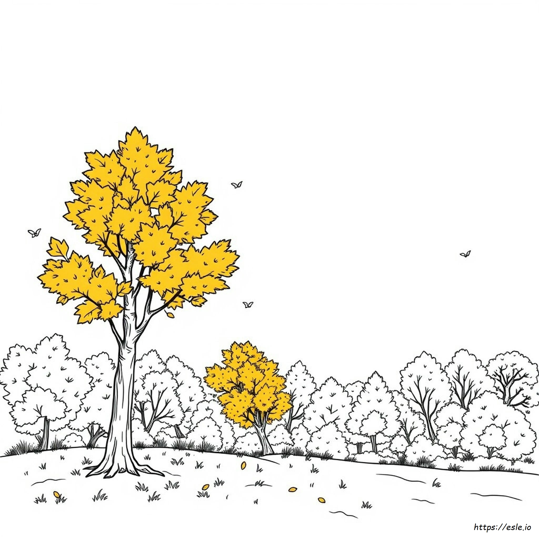 Planșă De Colorat De Toamnă Pentru Adulți