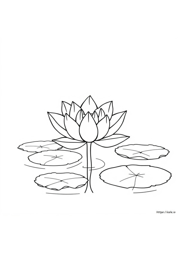 Colo<R>Iage Fleur De Lotus