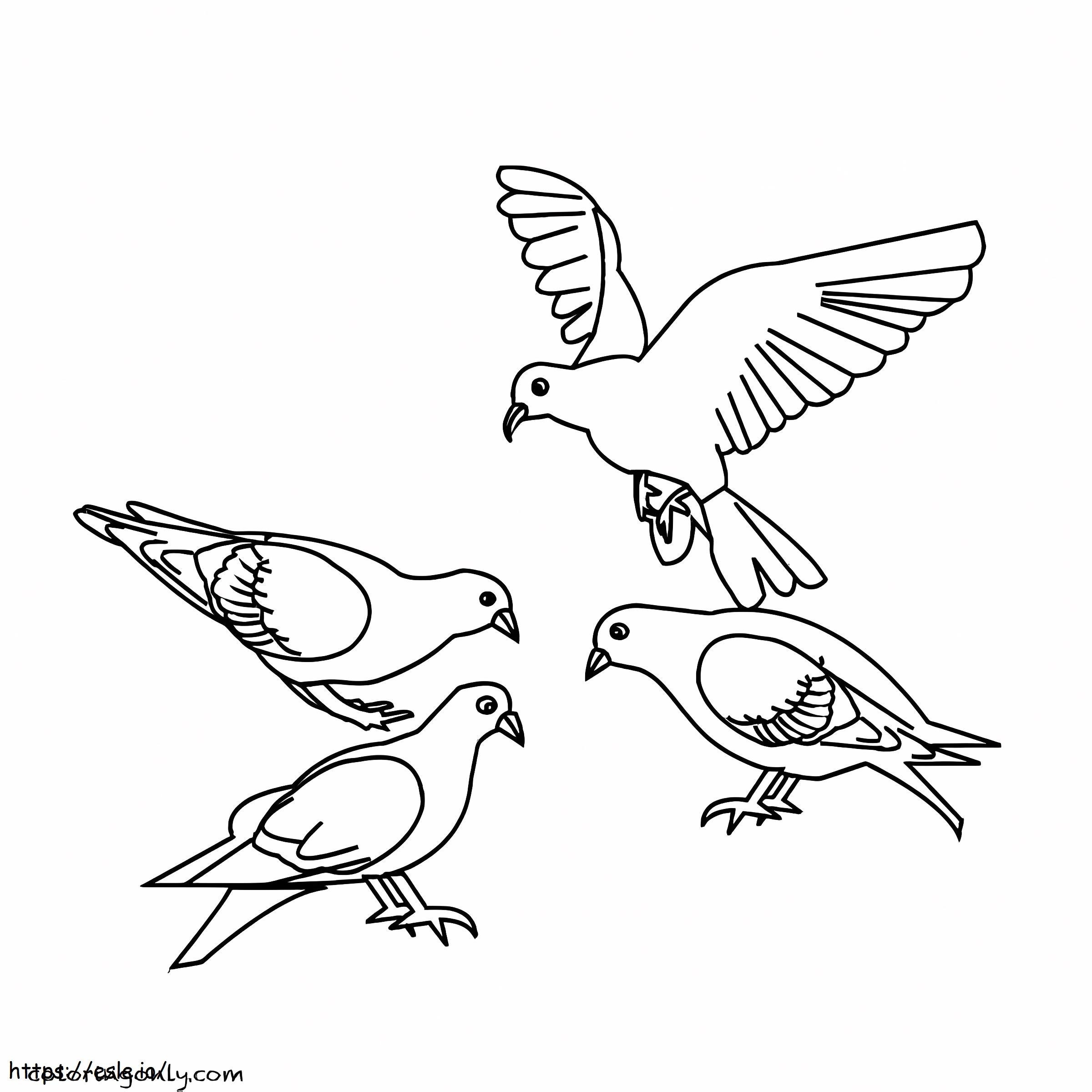 Coloriage  pigeons à imprimer dessin