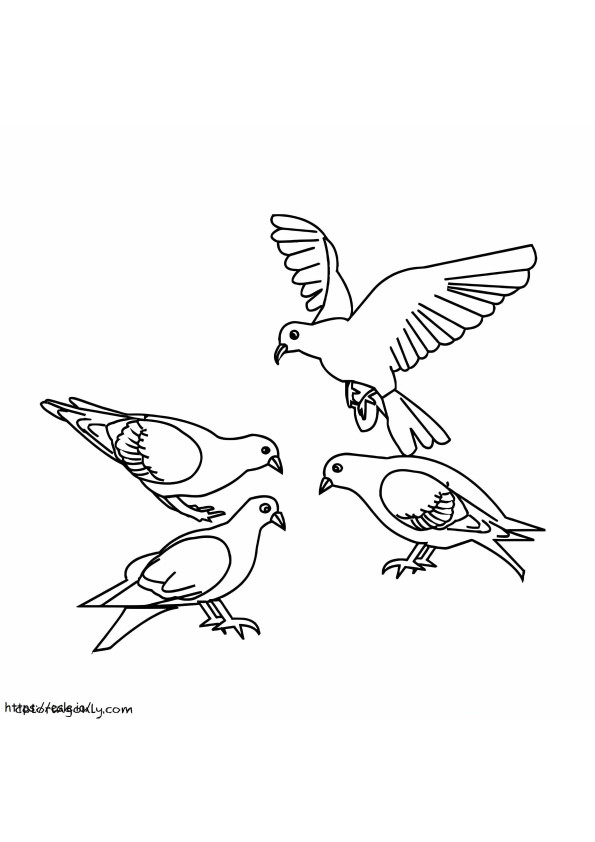 Pigeons coloring page