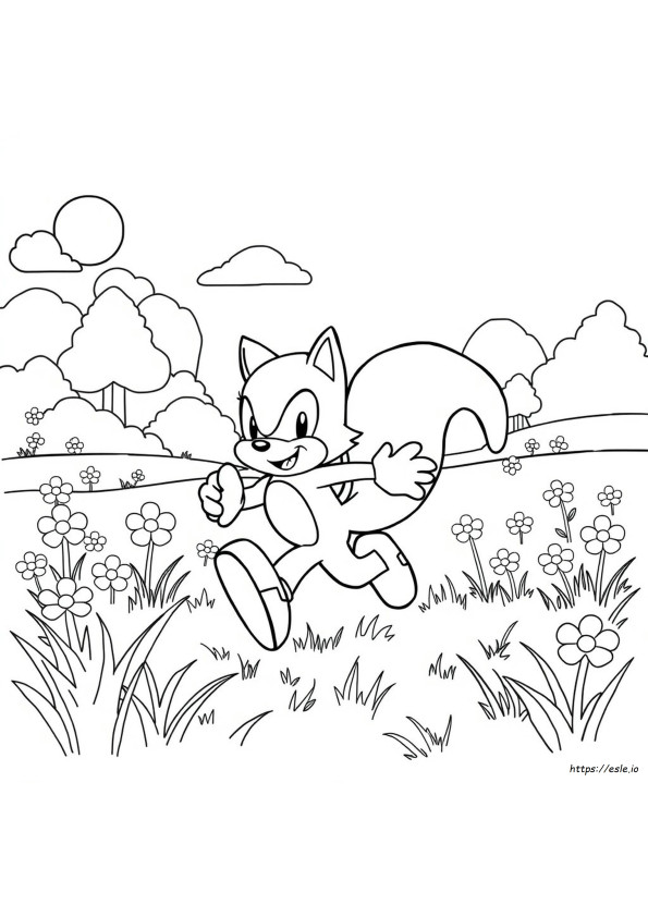 Sonic X Colouring Pages