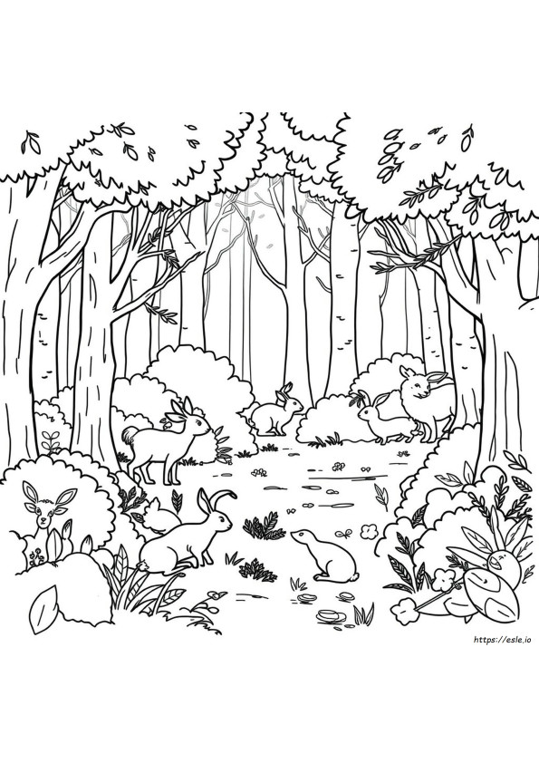 Desenhos De Habitat Florestal Para Colorir