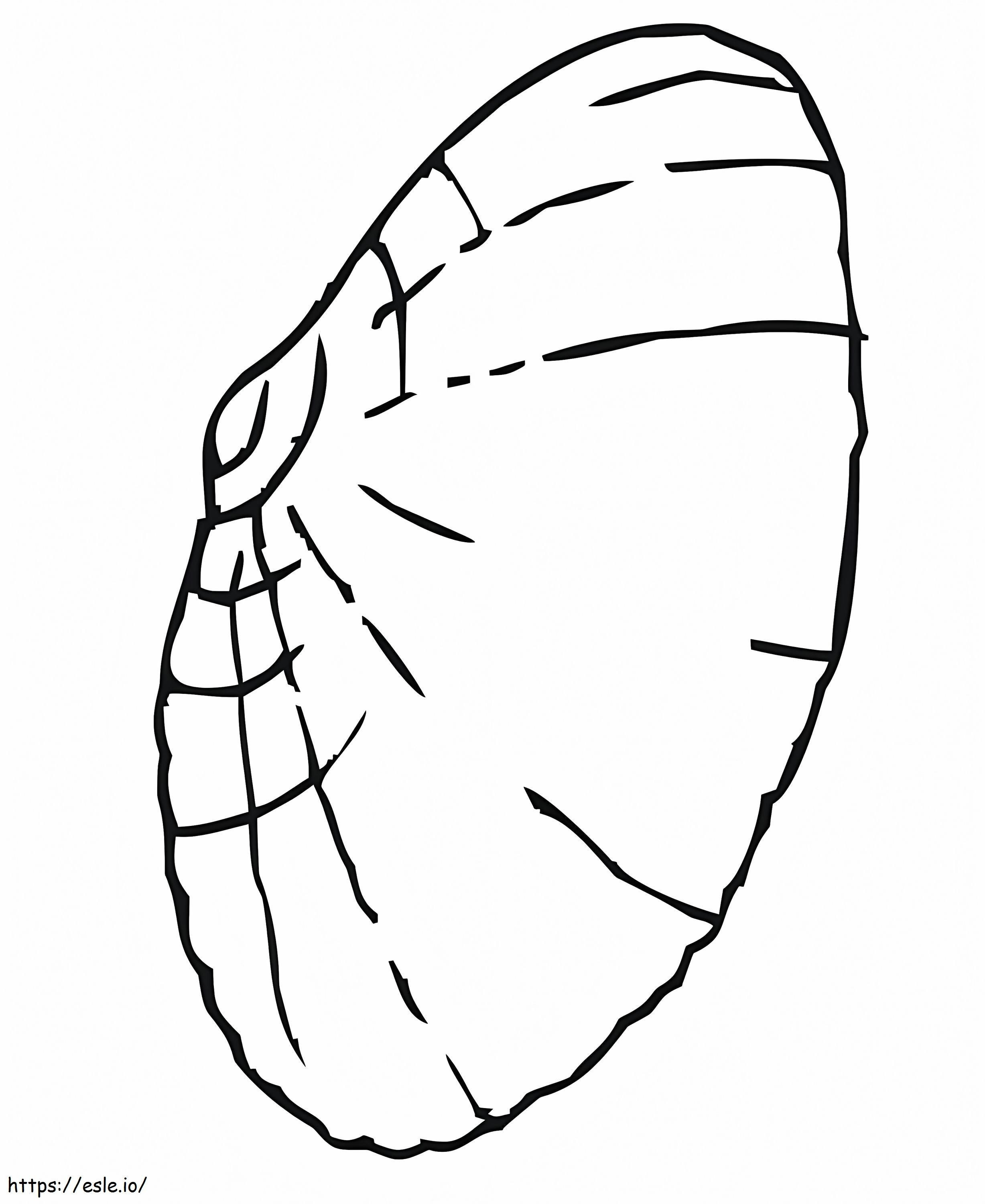 Normal Clam Shell coloring page