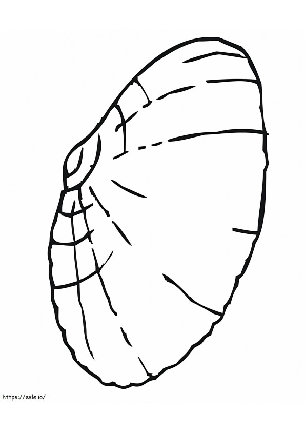 Concha de Amêijoa Normal para colorir