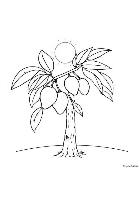 Mango For Colouring