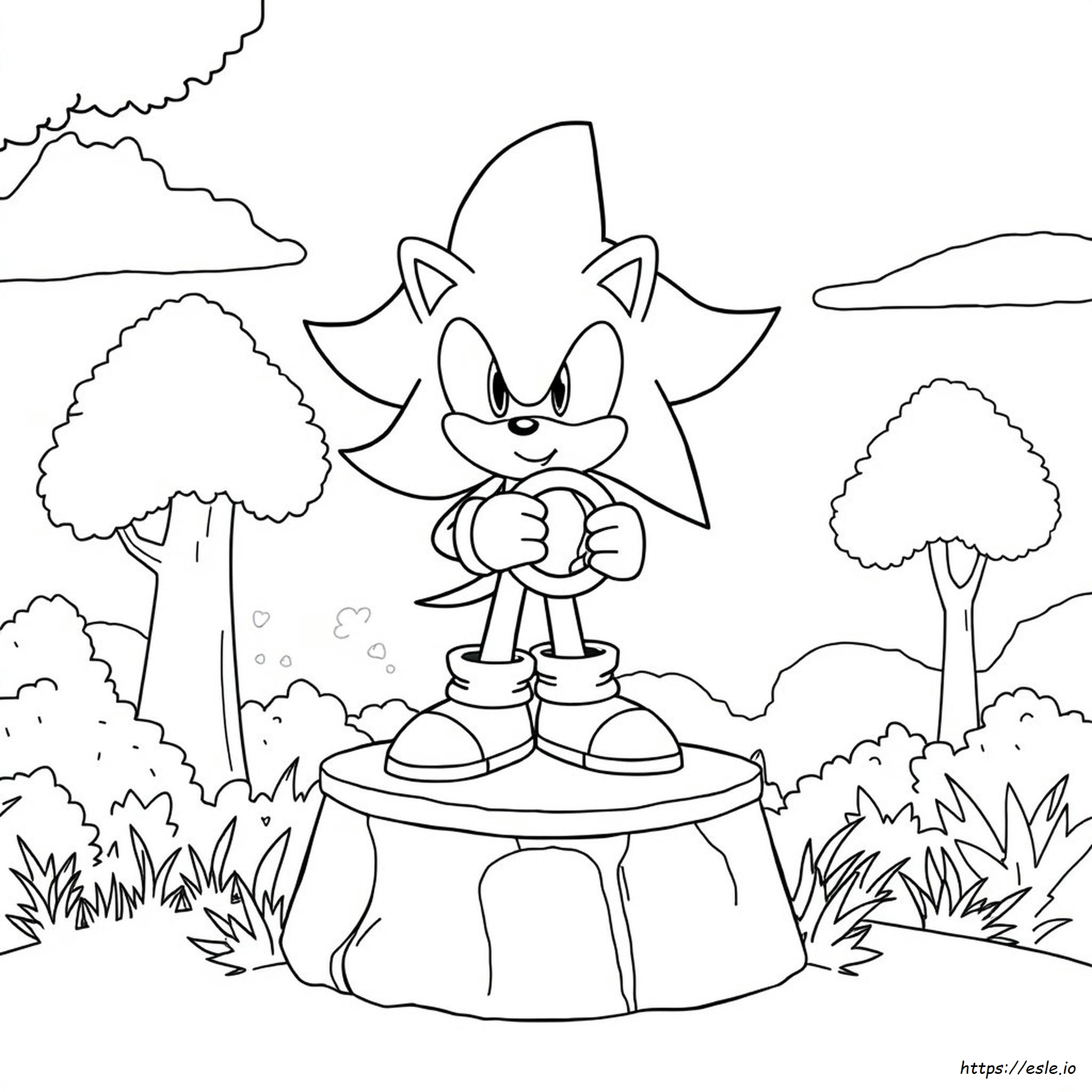 Hedgehog Coloring Pages Shadow Sonic Omalovanky