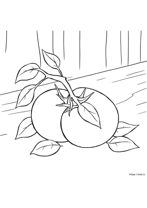Tomate Ausmalbild
