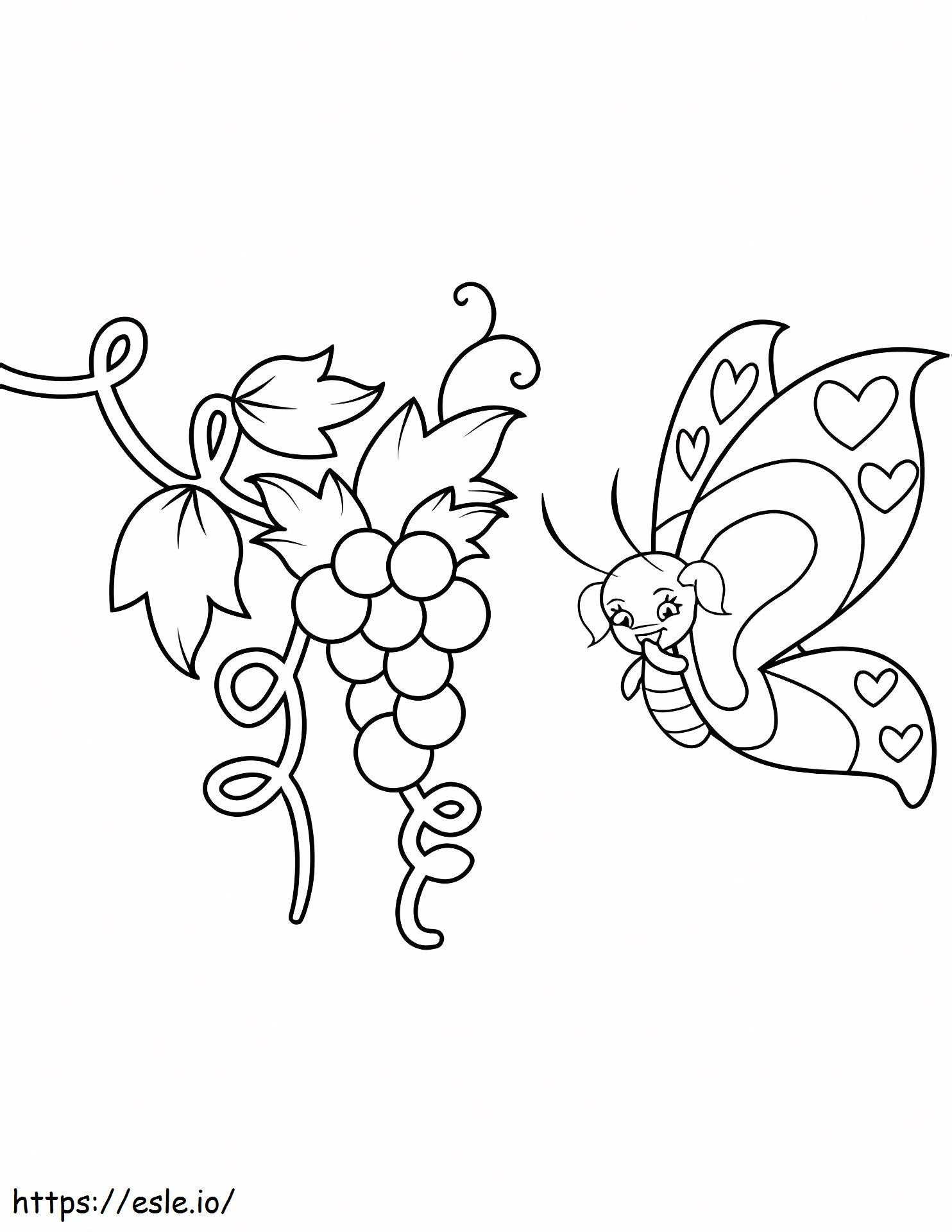 Butterfly And Grapes A4 coloring page