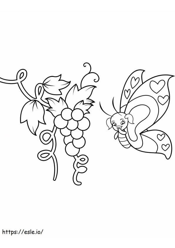 Butterfly And Grapes A4 coloring page