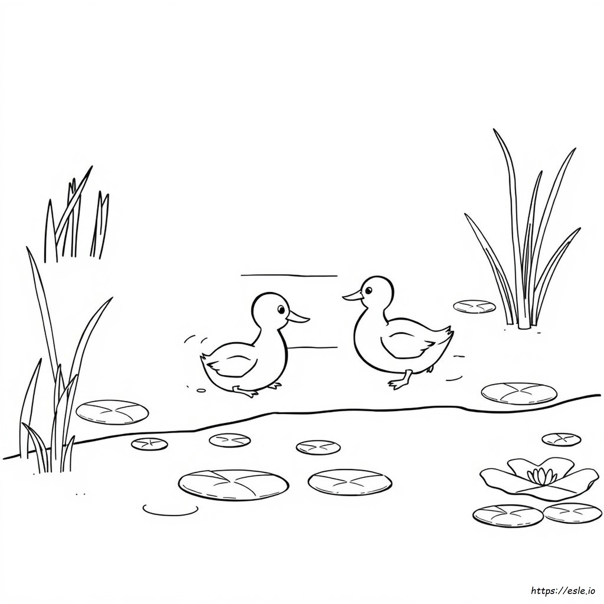 Disegni Di Anatre Da Colorare