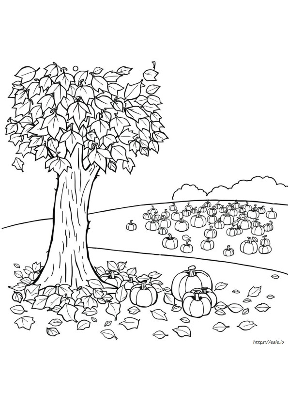 Desenhos De Outono Para Colorir (Pré-Escolar)