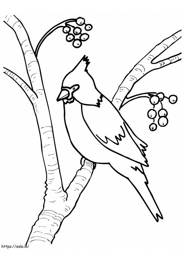 Cardinal On A Tree coloring page