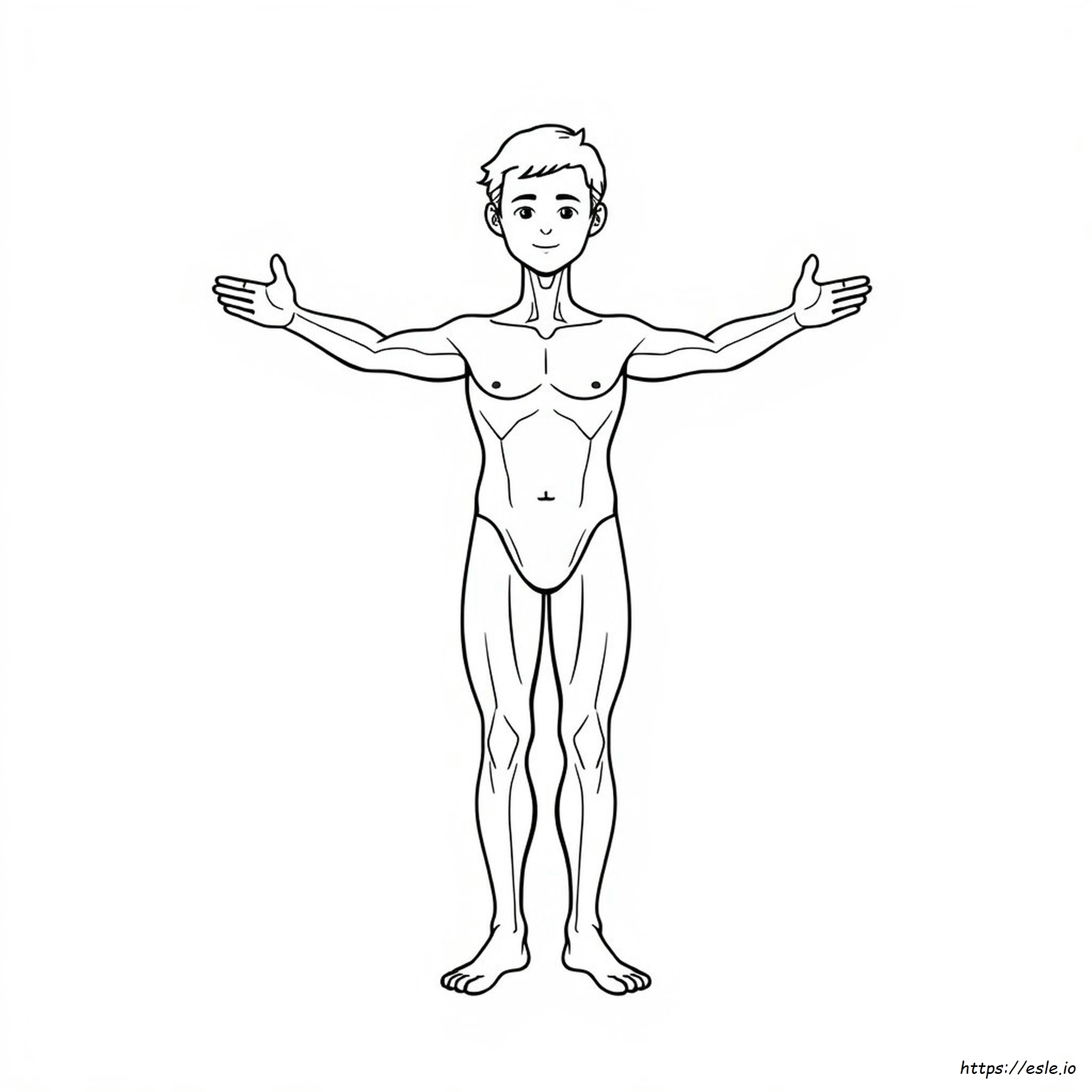 Dibujo Del Cuerpo Humano Para Colorear