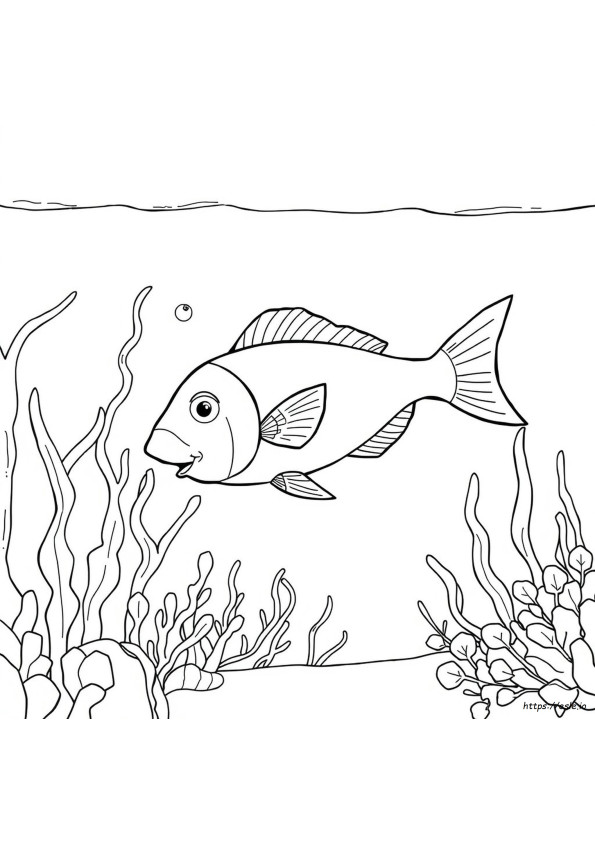 Fish Colouring Page