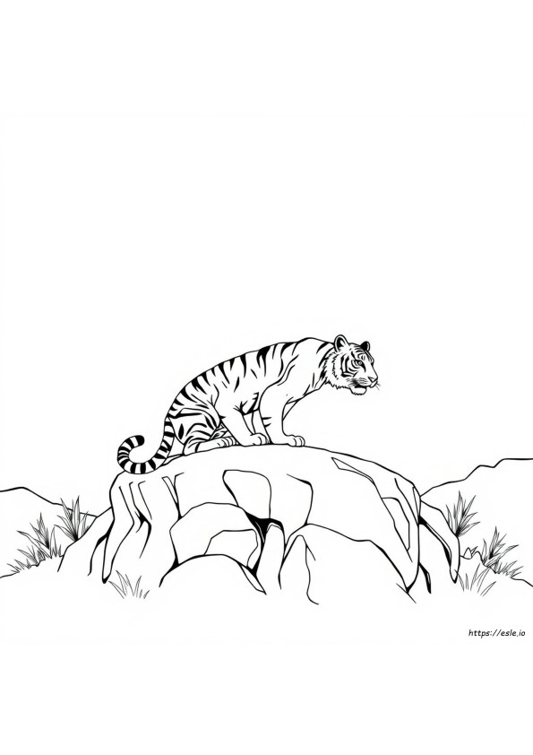 Menő Tigris Színező Oldalak