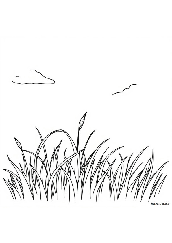 Coloring Picture Of Grass