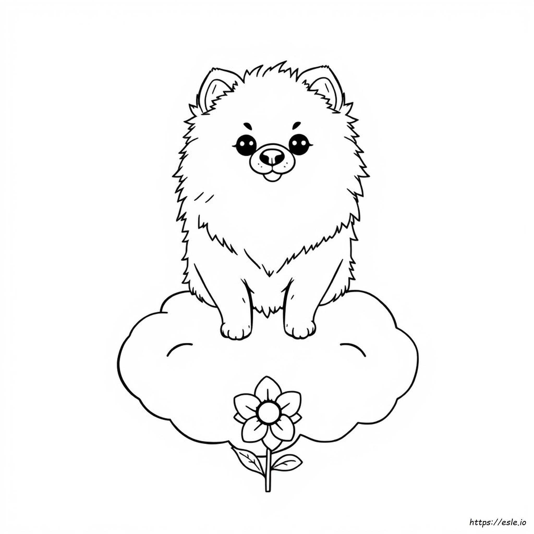 Pagina Da Colorare Di Pomerania