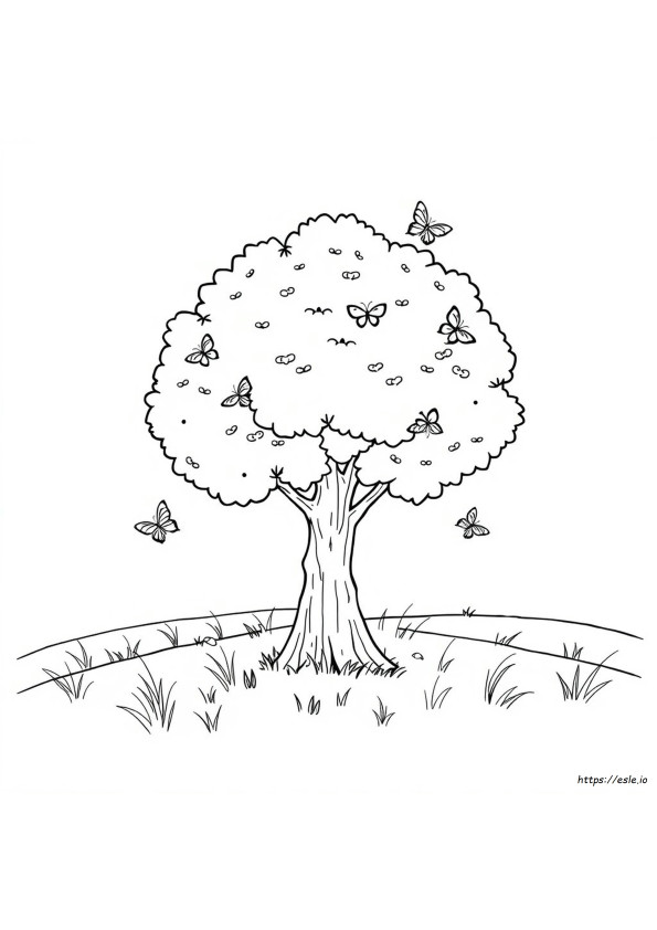Árboles Para Colorear Para Jardín De Infancia