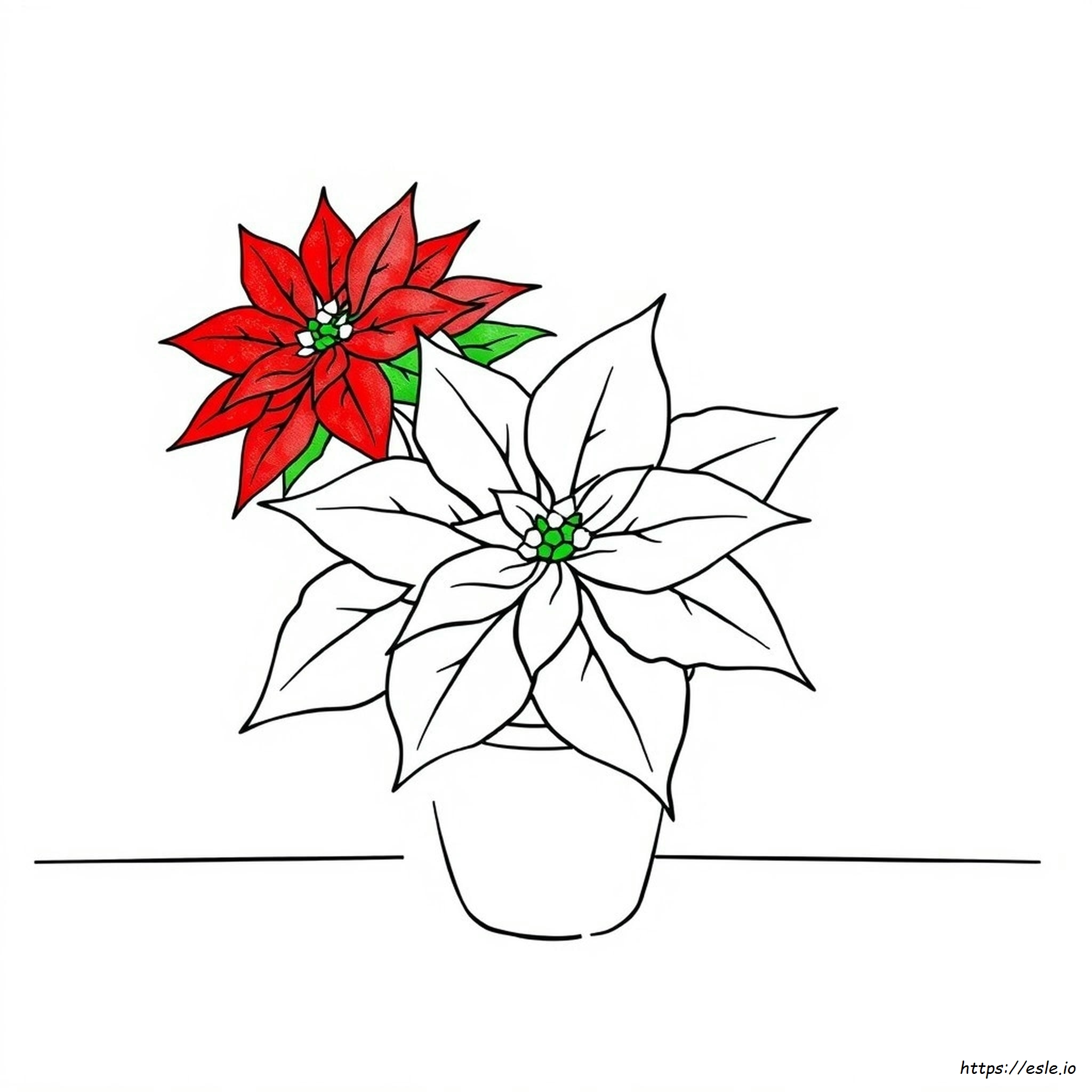 How To Paint A Poinsettia In Watercolor