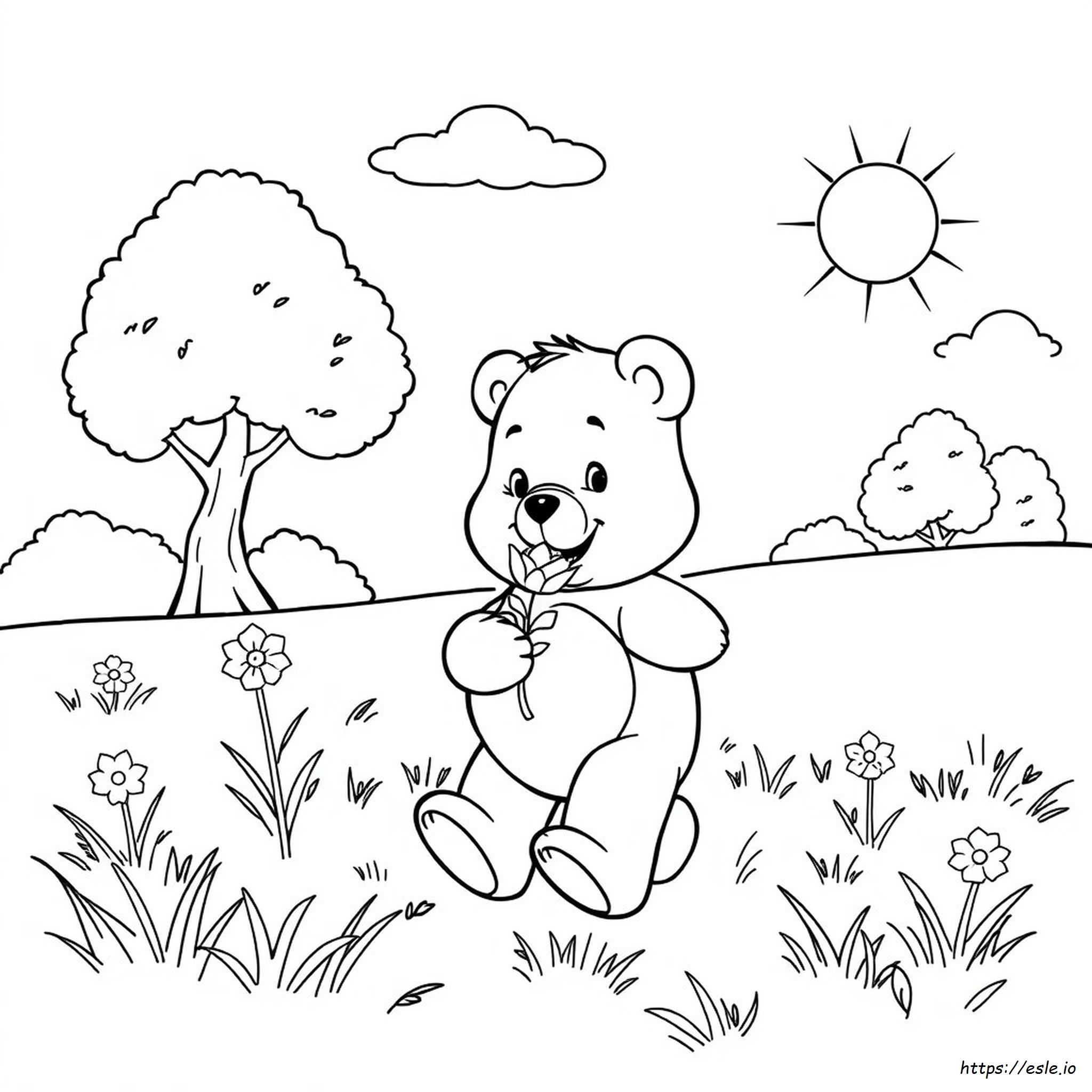 Care Bear Coloring Pictures