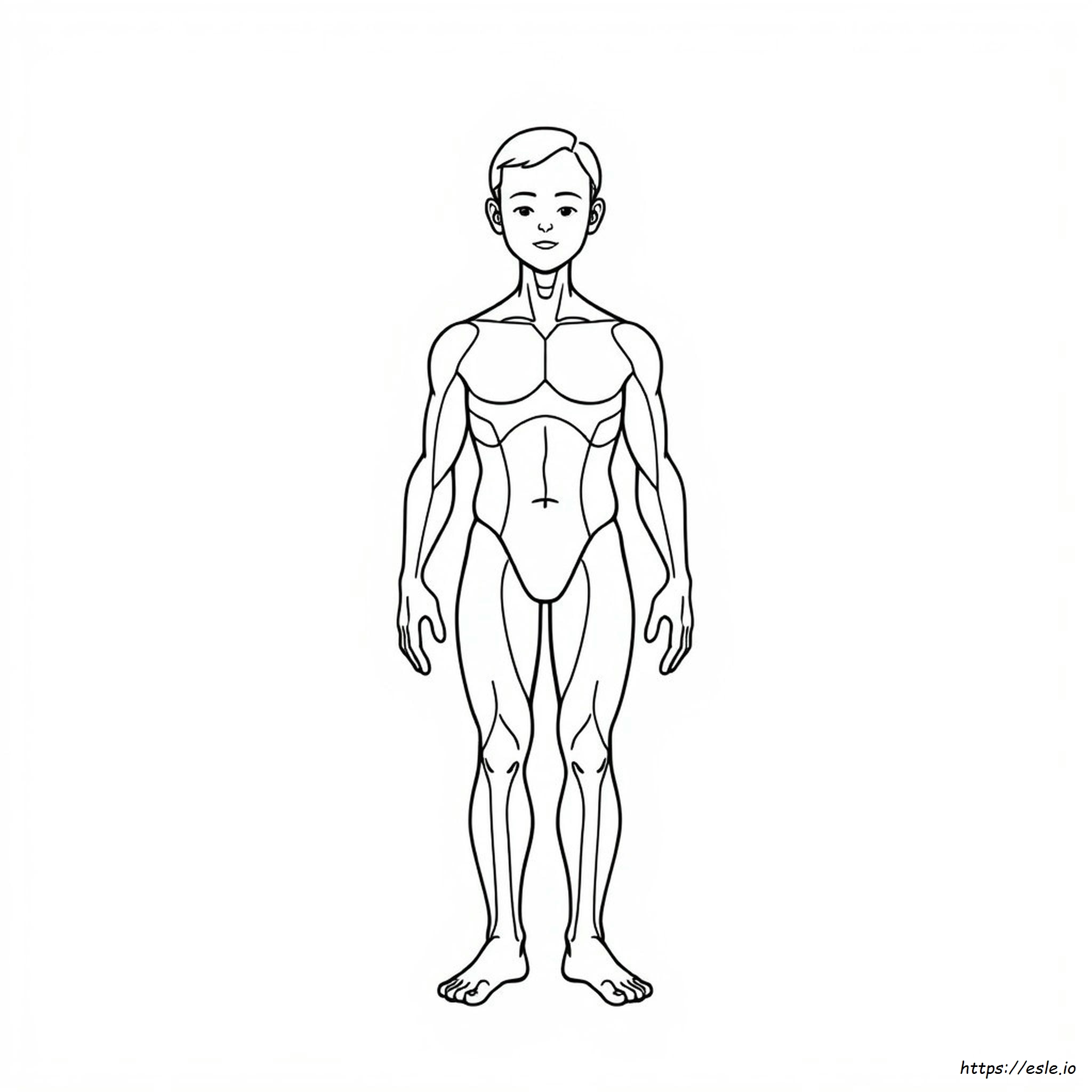 Human Body Coloring Page Pdf