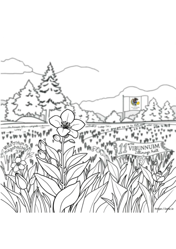 Coloriage Fleur D'état De L'illinois