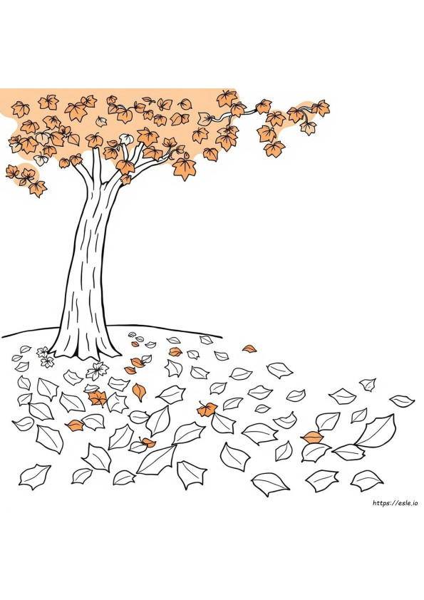 Fall Leaves Coloring