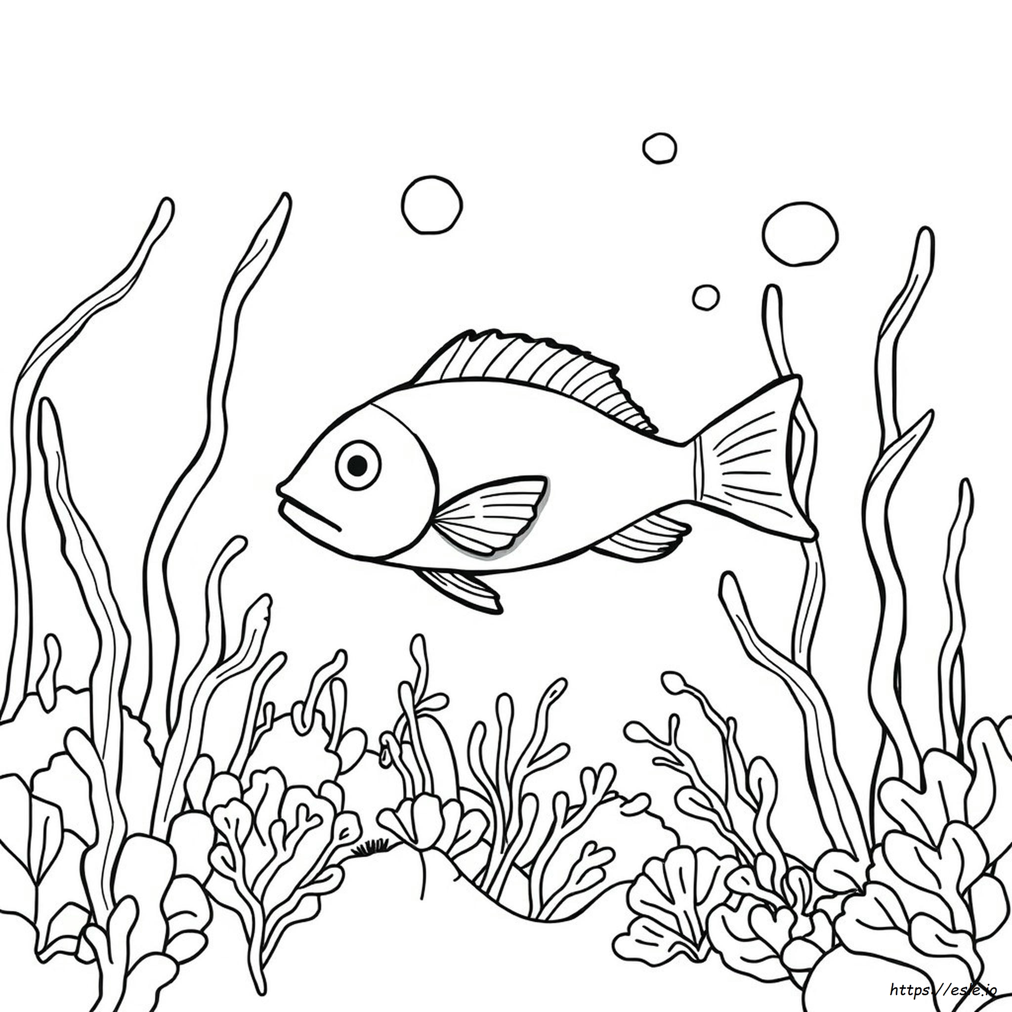 Red Fish Coloring Page
