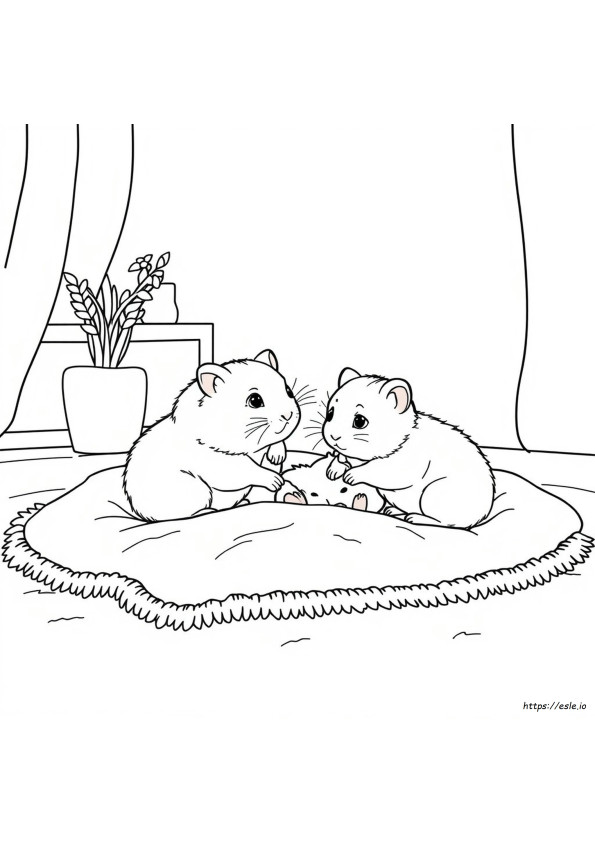 Coloriages Hamster Chatons