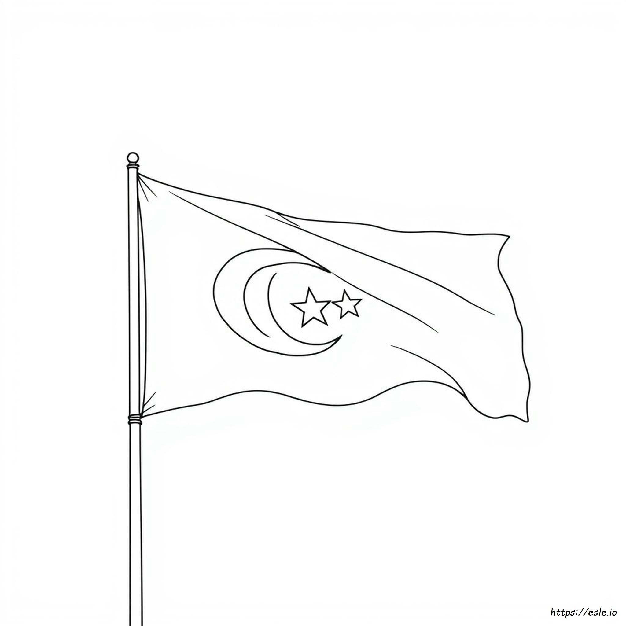 Türkiye Bayrağı Boyama Sayfası
