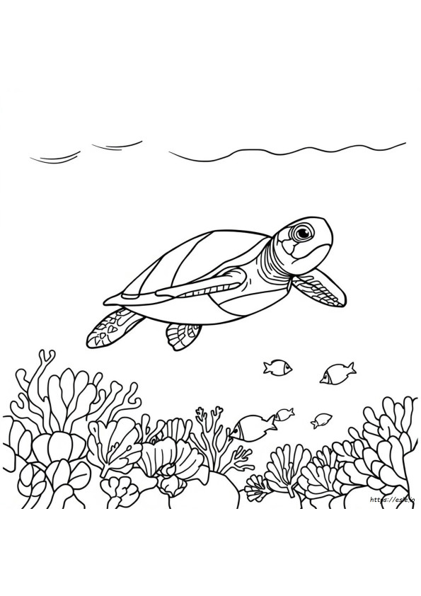 Țestoasă De Mare De Colorat