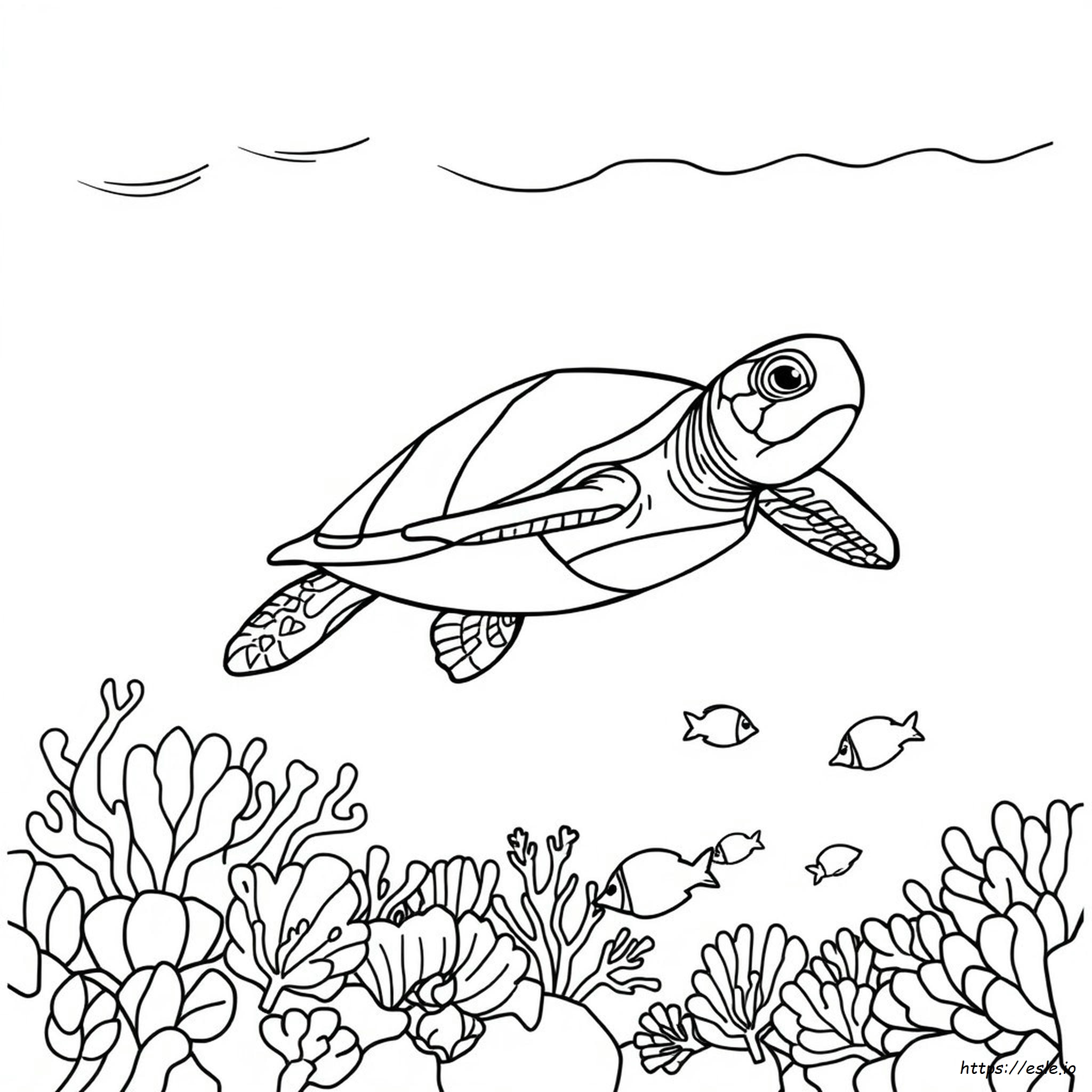 Sea Turtle Coloring Page